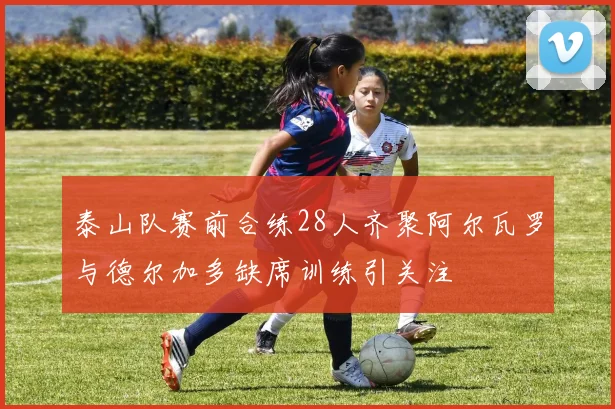 泰山队赛前合练28人齐聚阿尔瓦罗与德尔加多缺席训练引关注