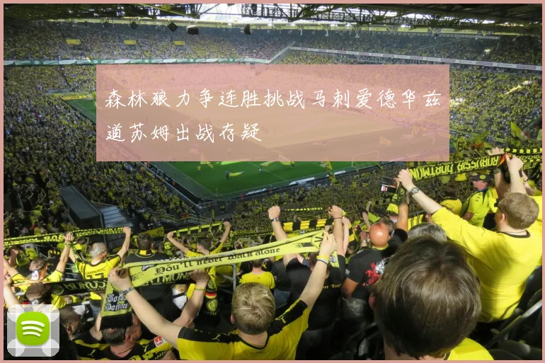 森林狼力争连胜挑战马刺爱德华兹道苏姆出战存疑